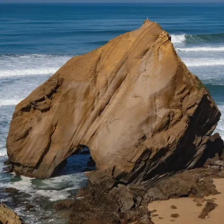 Hygge Living Beachfront サンタ・クルーズ