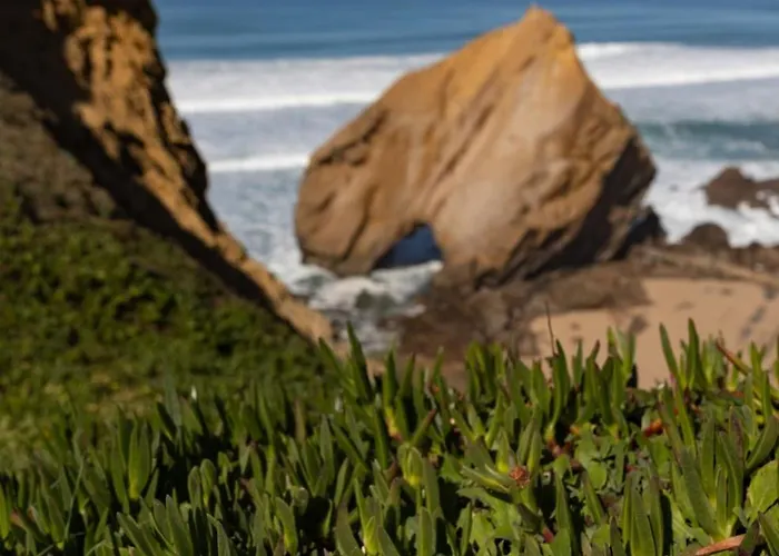 Hygge Living Beachfront Apartment